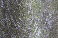 Weatheroak Hill fibreglass roof work